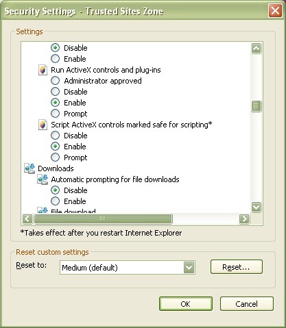 IE8_options